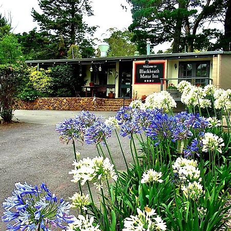 Blackheath Motor Inn Exterior foto
